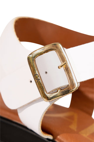 Palomino