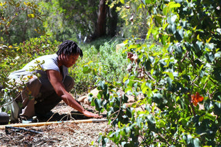 Responsible sourcing Colombia
